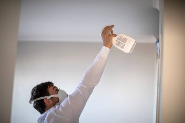 Best Best Mold Removal Companies  in Ash Grove, MO