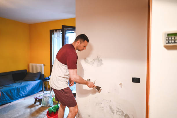 Best Affordable Mold Removal  in Ash Grove, MO